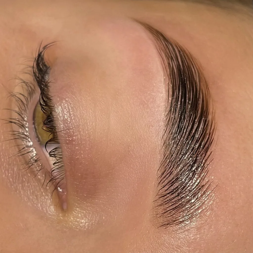 Brow lamination result — fluffy laminated brows in Bradley Beach NJ